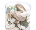 green and pearl seashell pack